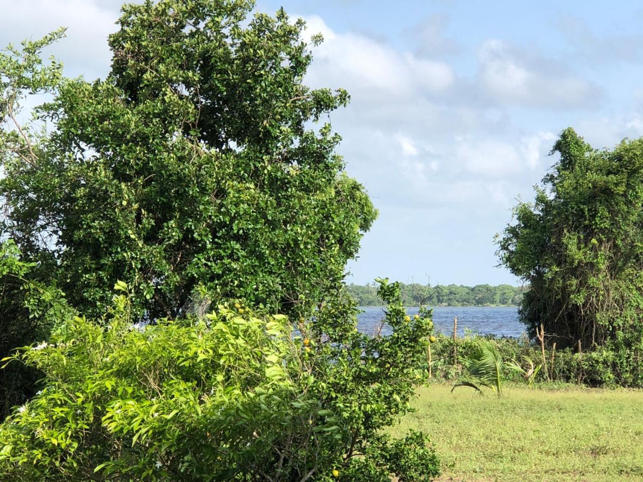 Captain'S Bird Safari Lodge Puttalam Extérieur photo