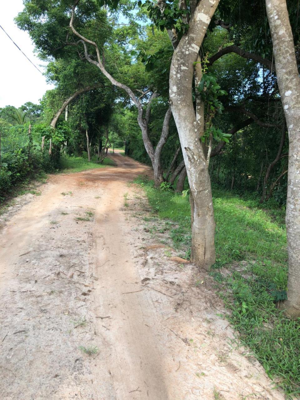 Captain'S Bird Safari Lodge Puttalam Extérieur photo