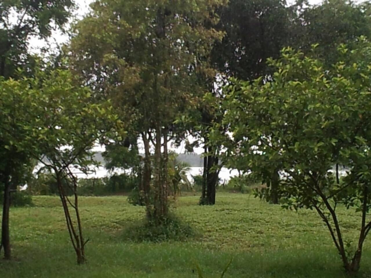 Captain'S Bird Safari Lodge Puttalam Extérieur photo