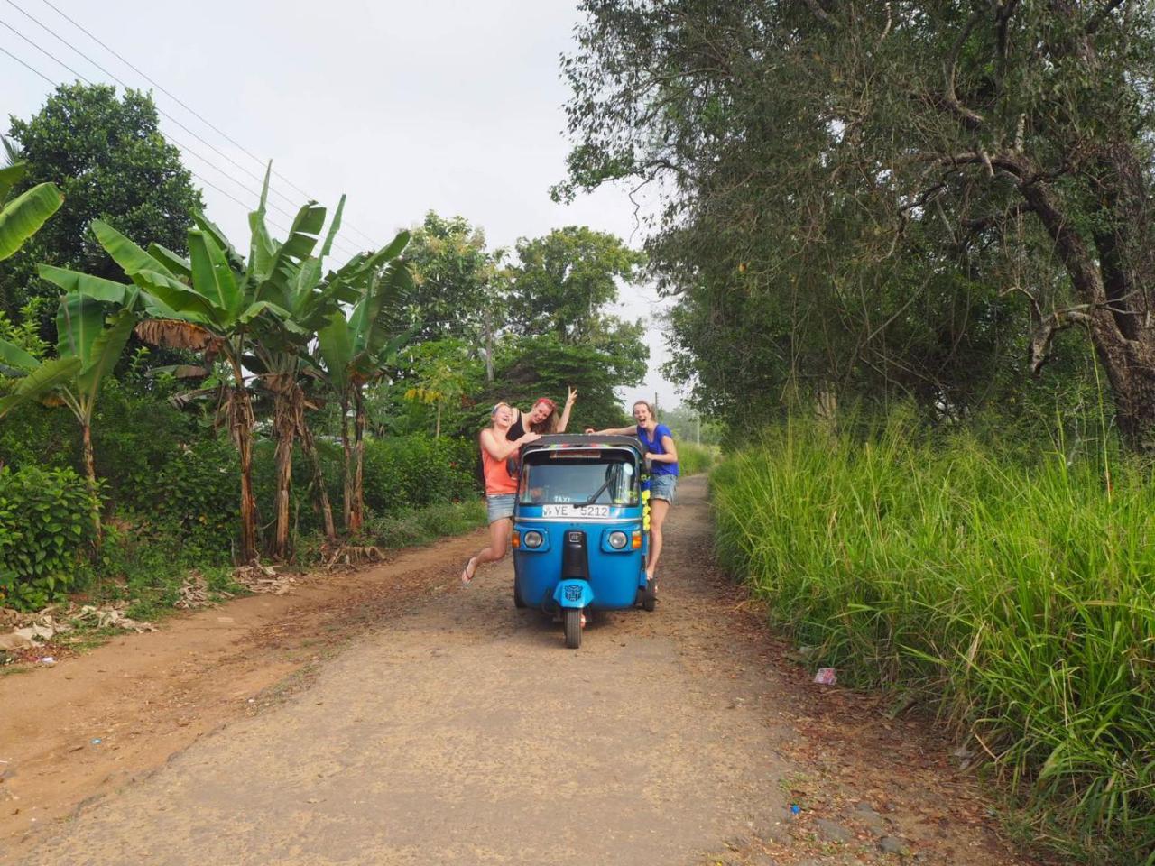 Captain'S Bird Safari Lodge Puttalam Extérieur photo